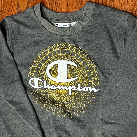 Champion Sweatshirt with unique design - Picture 2 of 6